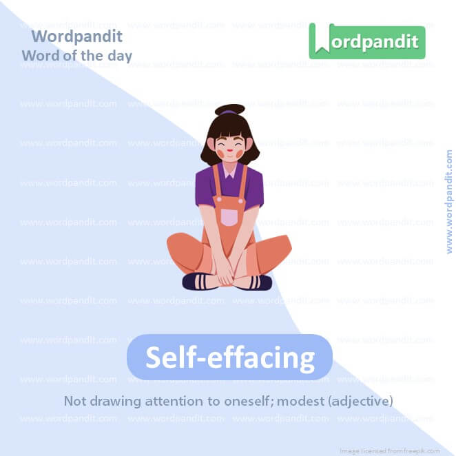 Self Effacing Picture Vocabulary