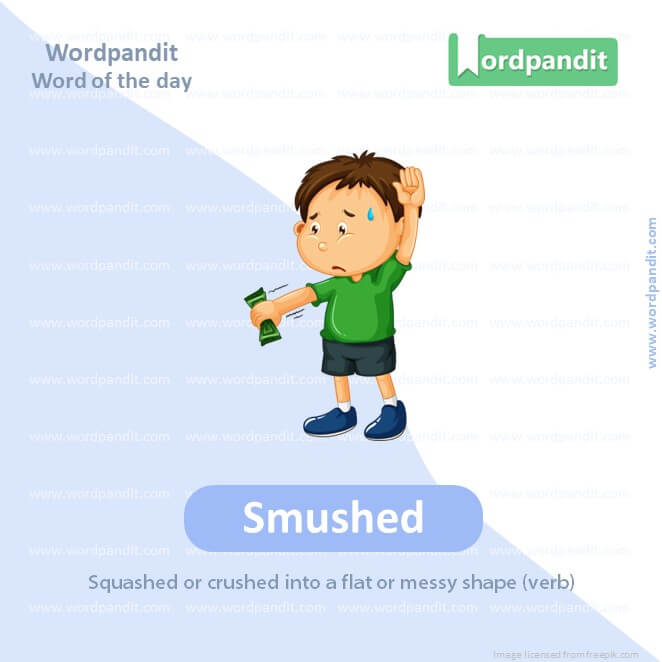 Smushed Picture Vocabulary
