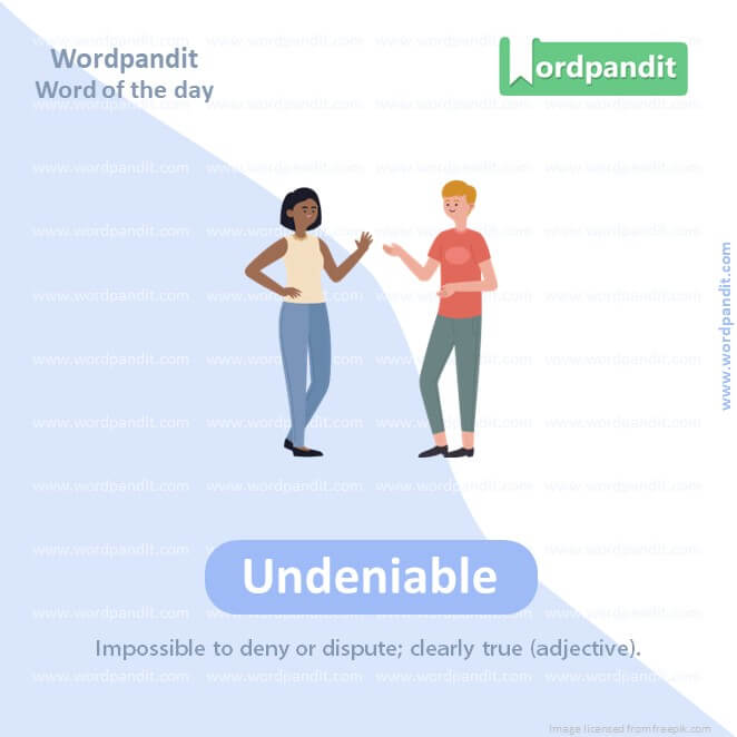 Undeniable Picture Vocabulary