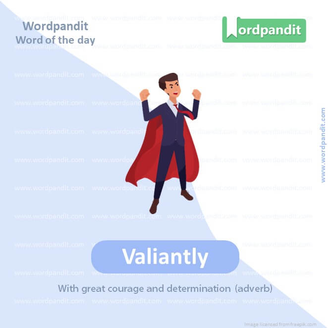 Valiantly Picture Vocabulary