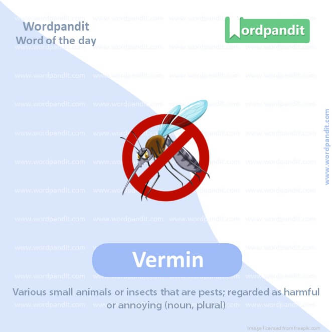 Vermin Picture Vocabulary