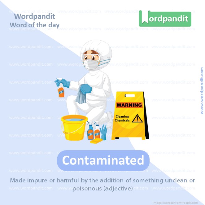 Contaminated Picture Vocabulary