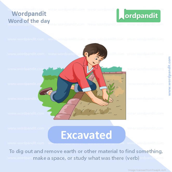 Excavated Picture Vocabulary
