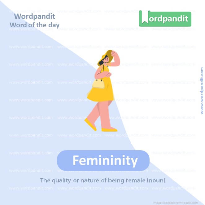 Femininity Picture Vocabulary