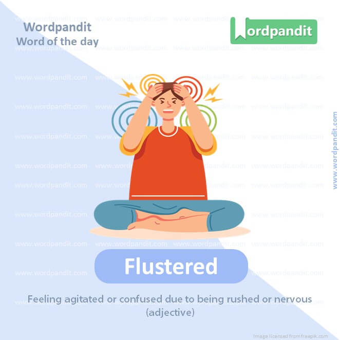 Flustered Picture Vocabulary