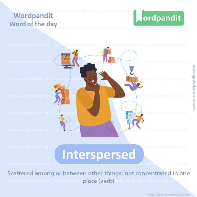 Interspersed Picture Vocabulary