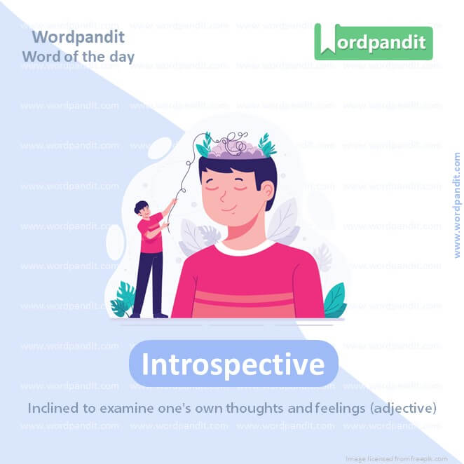 Introspective Picture Vocabulary