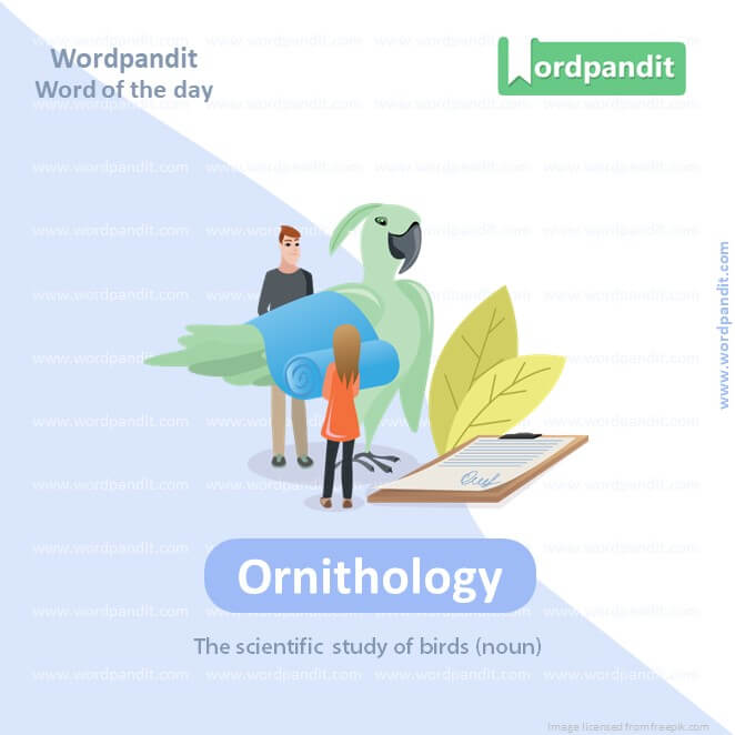 Ornithology Picture Vocabulary