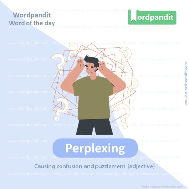 Perplexing Picture Vocabulary