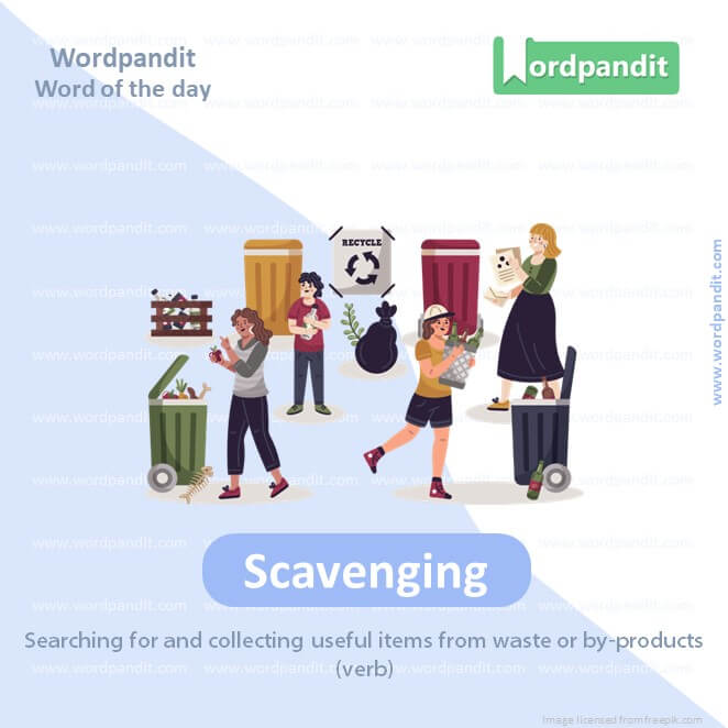 Scavenging Picture Vocabulary