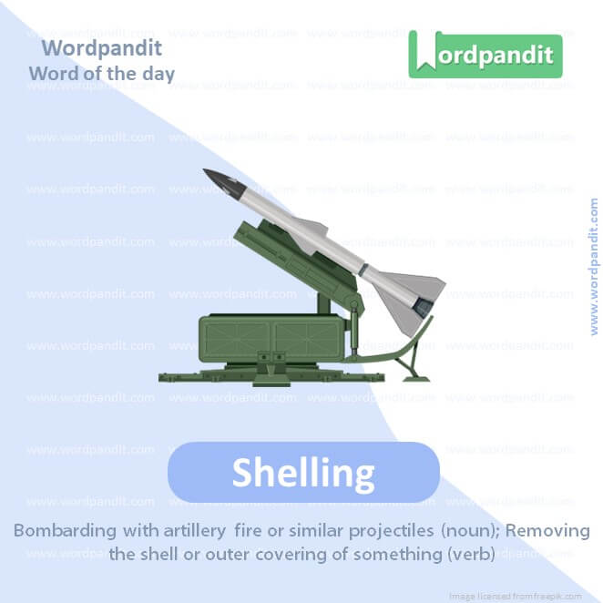 Shelling Picture Vocabulary
