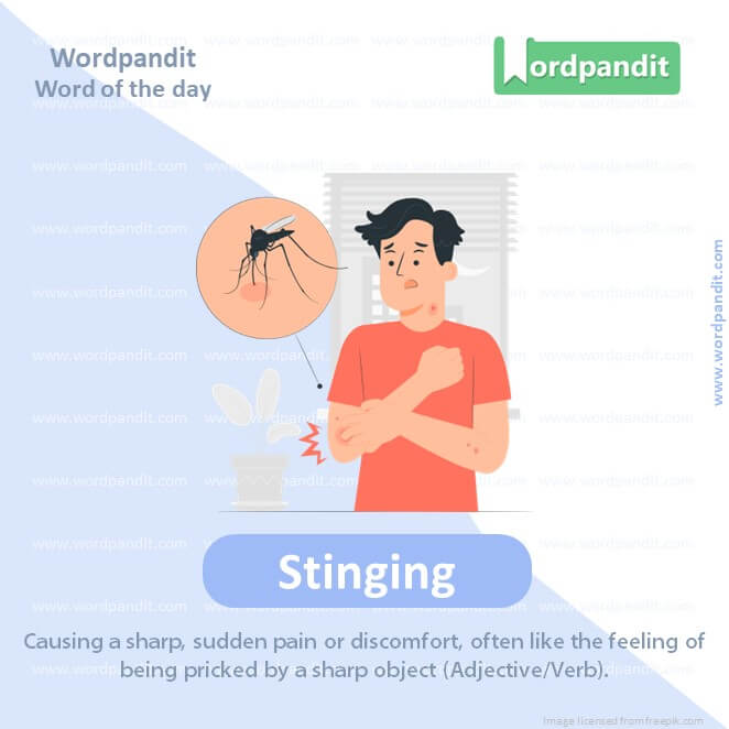 Stinging Picture Vocabulary