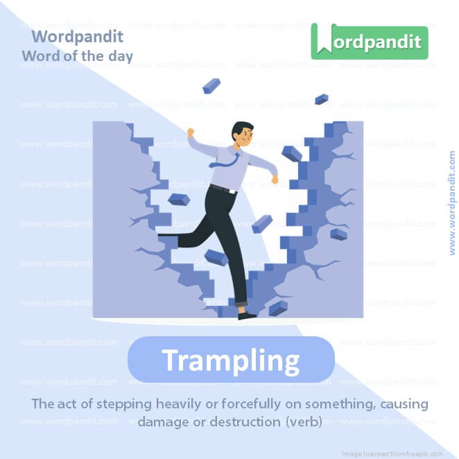 Trampling Picture Vocabulary