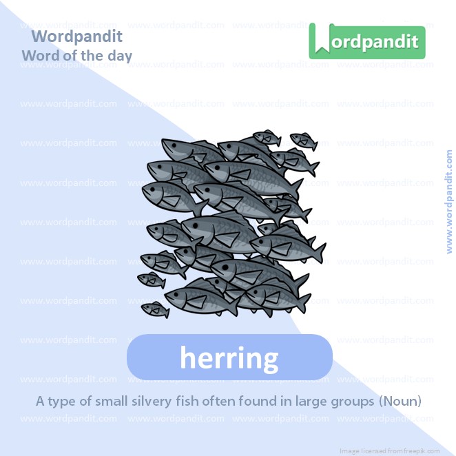 Herringpicture Vocabulary