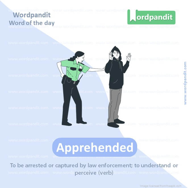 Apprehended Picture Vocabulary