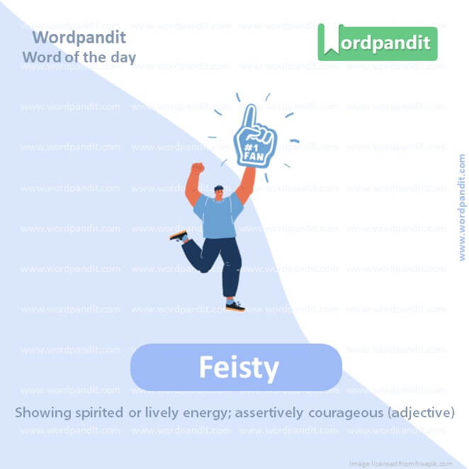 Feisty Picture Vocabulary