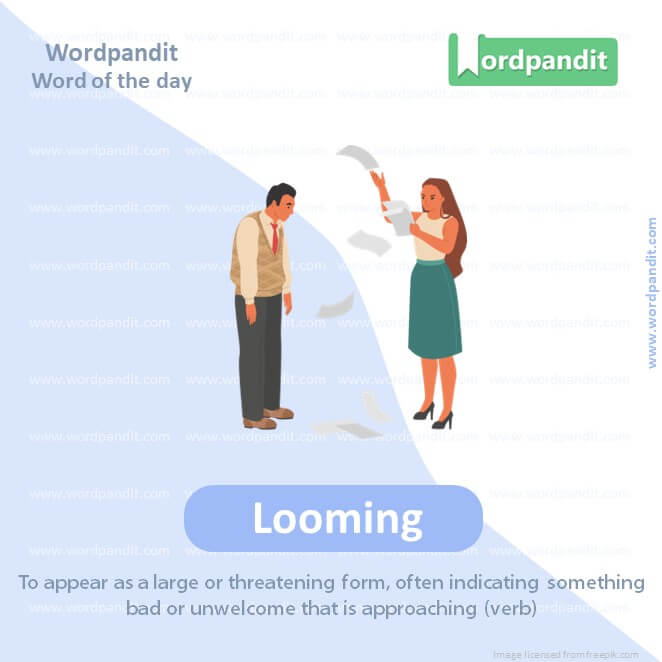 Looming Picture Vocabulary