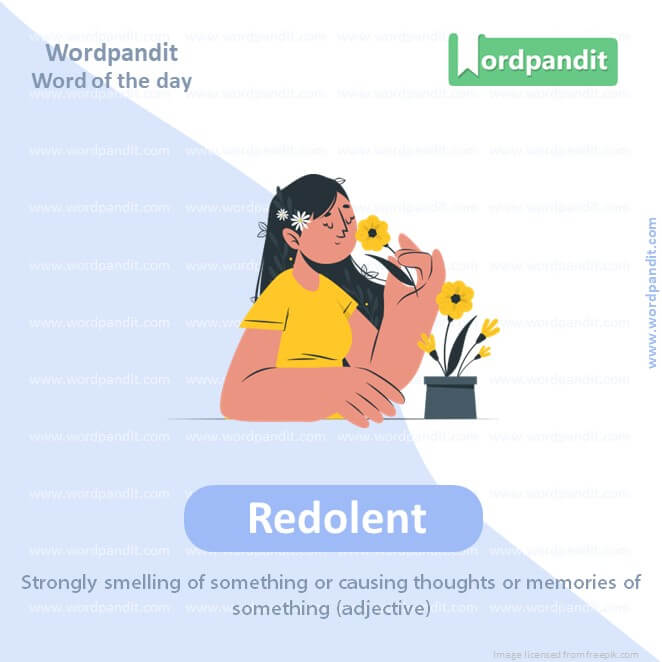 Redolent Picture Vocabulary
