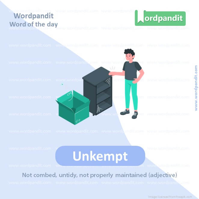 Unkempt Picture Vocabulary