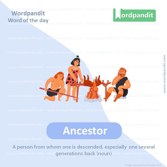 Ancestor Picture Vocabulary