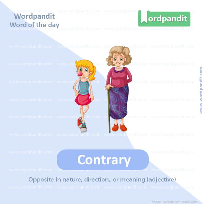 Contrary Picture Vocabulary