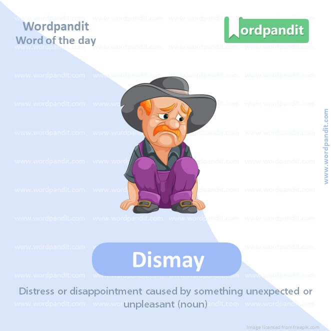 Dismay Picture Vocabulary