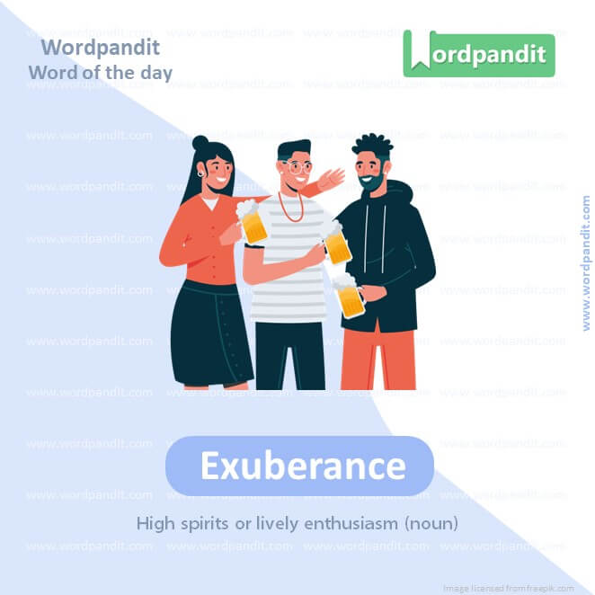 Exuberance Picture Vocabulary