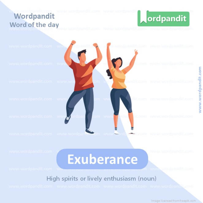 Exuberance Picture Vocabulary