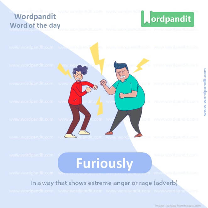 Furiously Picture Vocabulary