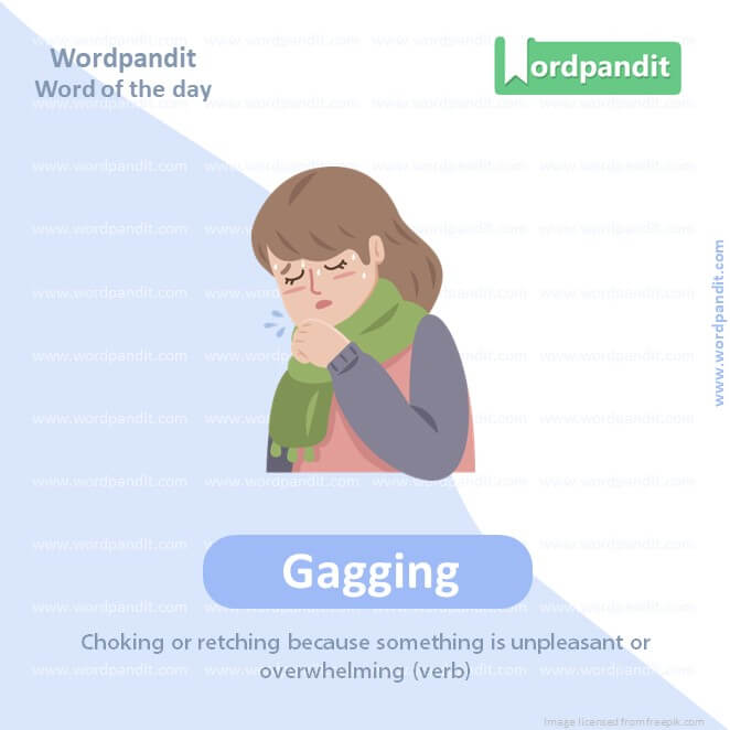 Gagging Picture Vocabulary