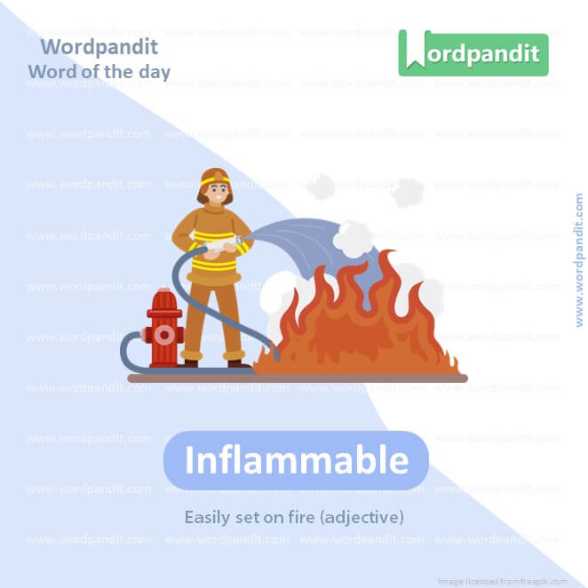 Inflammable Picture Vocabulary