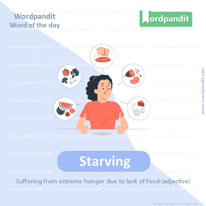 Starving Picture Vocabulary