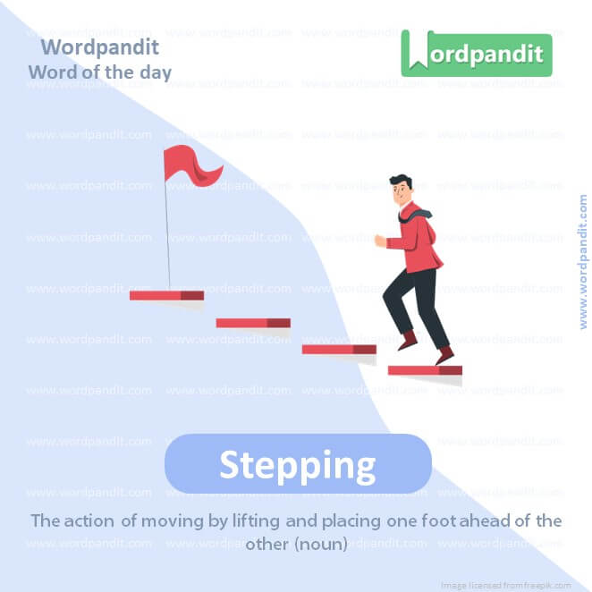 Stepping Picture Vocabulary