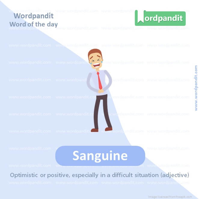 Sanguine Picture Vocabulary