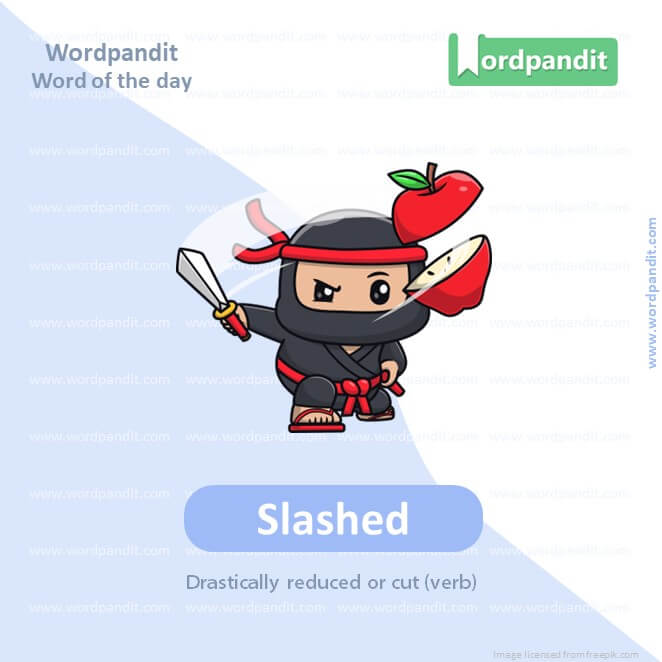 Slashed Picture Vocabulary