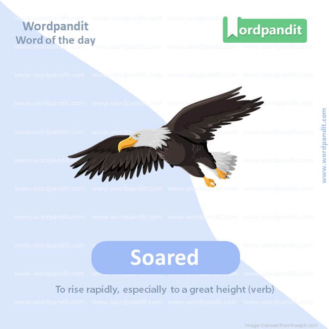 Soared Picture Vocabulary