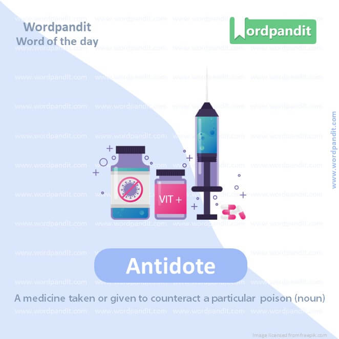 Antidote Picture Vocabulary