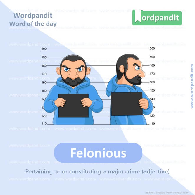 Felonious Picture Vocabulary