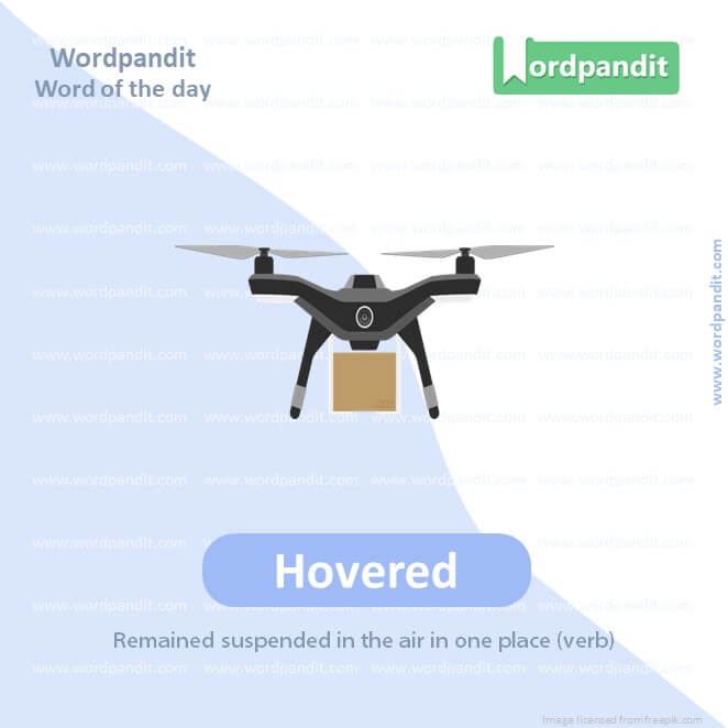 Hovered Picture Vocabulary