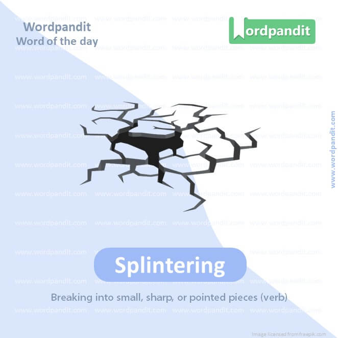 Splintering Picture Vocabulary