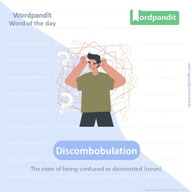 Discombobulation Picture Vocabulary