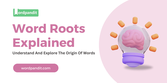 Word Roots Explained 03