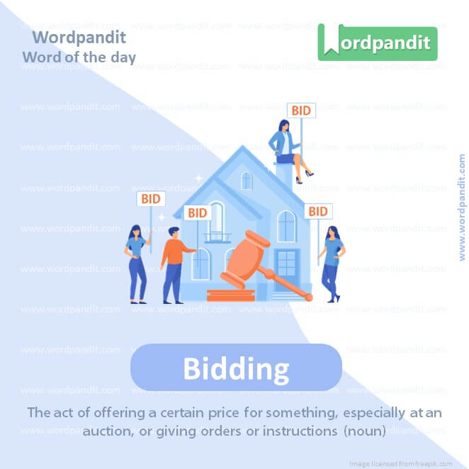 Bidding Picture Vocabulary