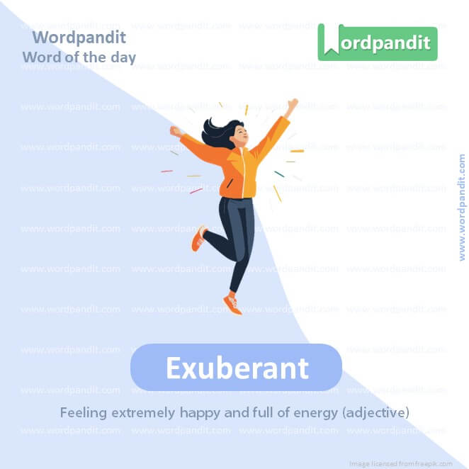 Exuberant Picture Vocabulary