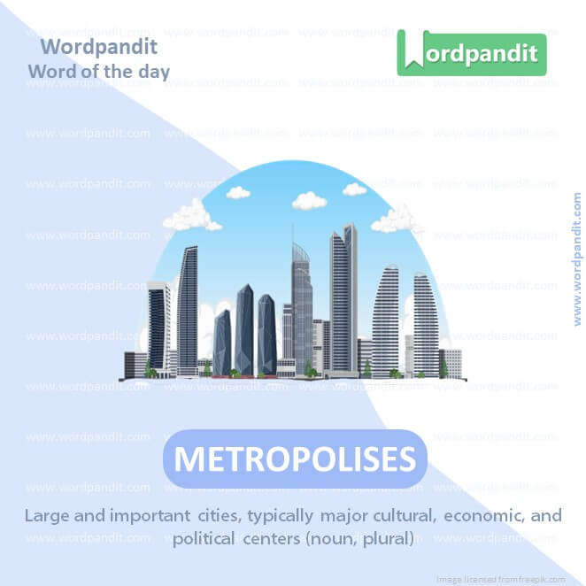 Metropolises Picture Vocabulary