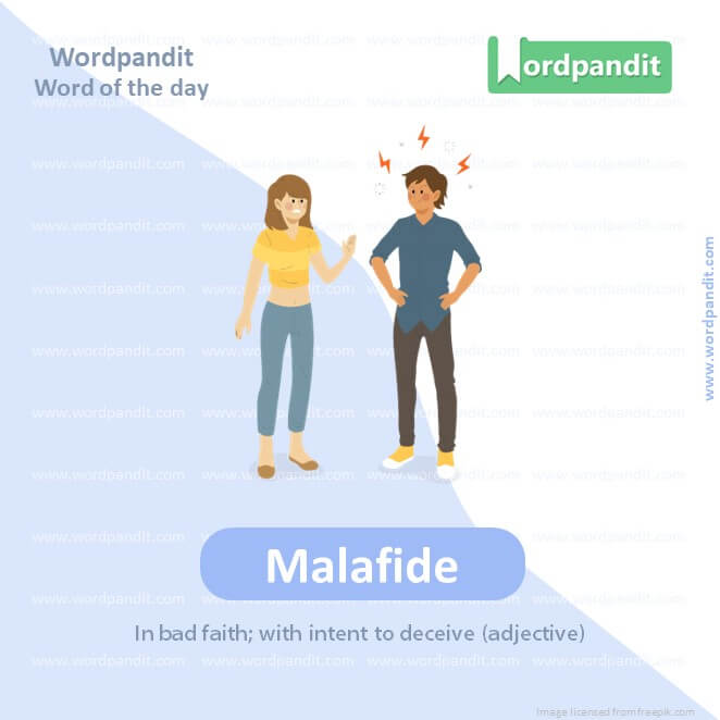 Malafide Picture Vocabulary