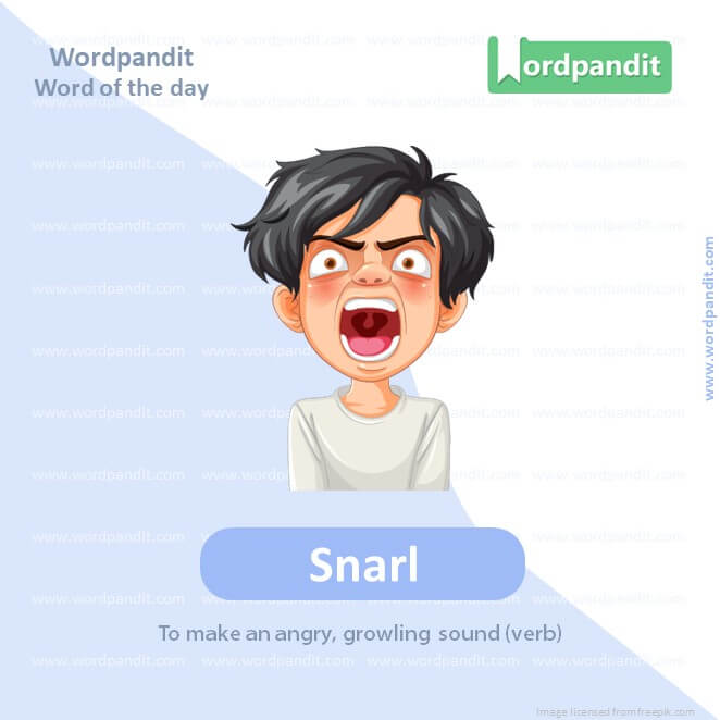 Snarl Picture Vocabulary