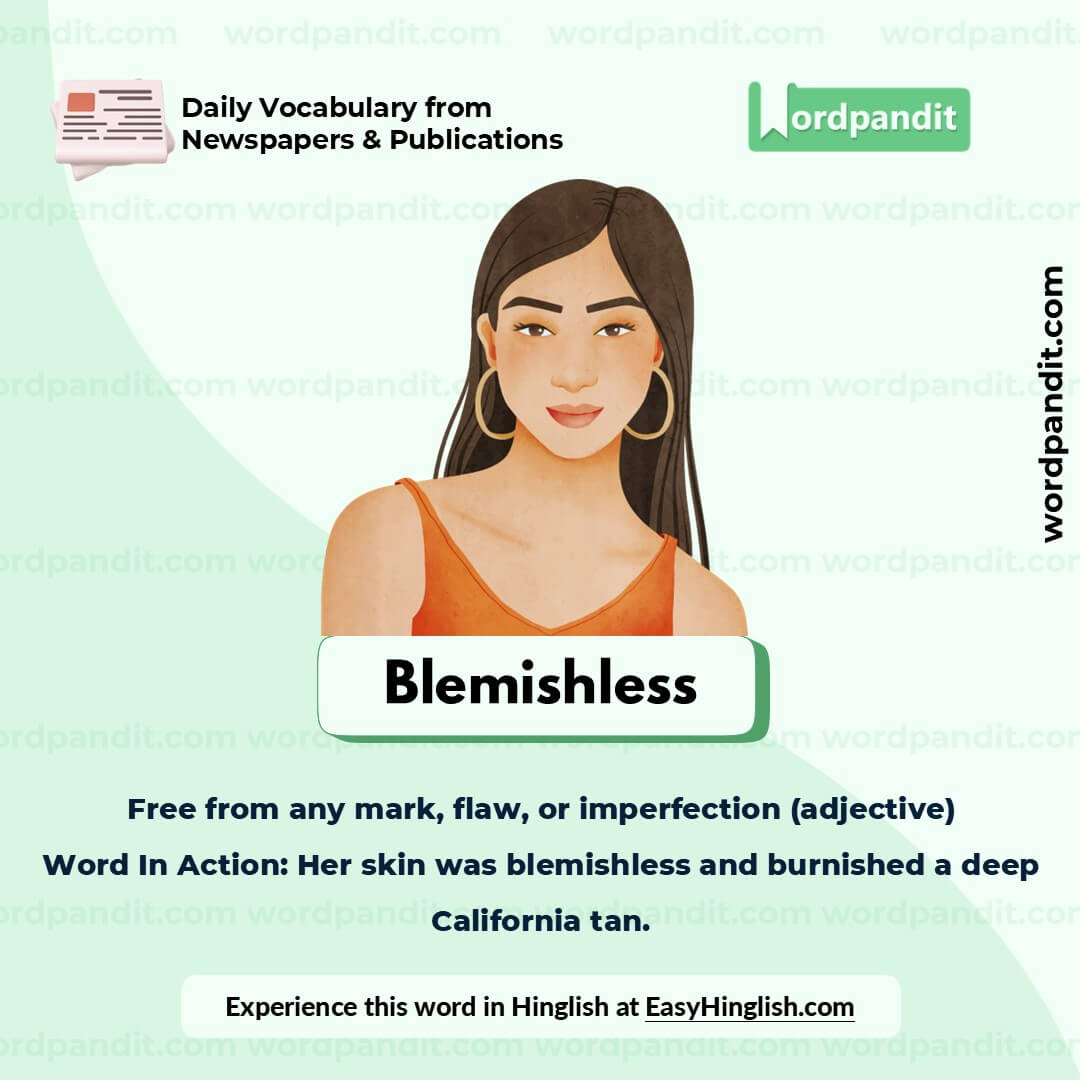 Blemishless Picture Vocabulary