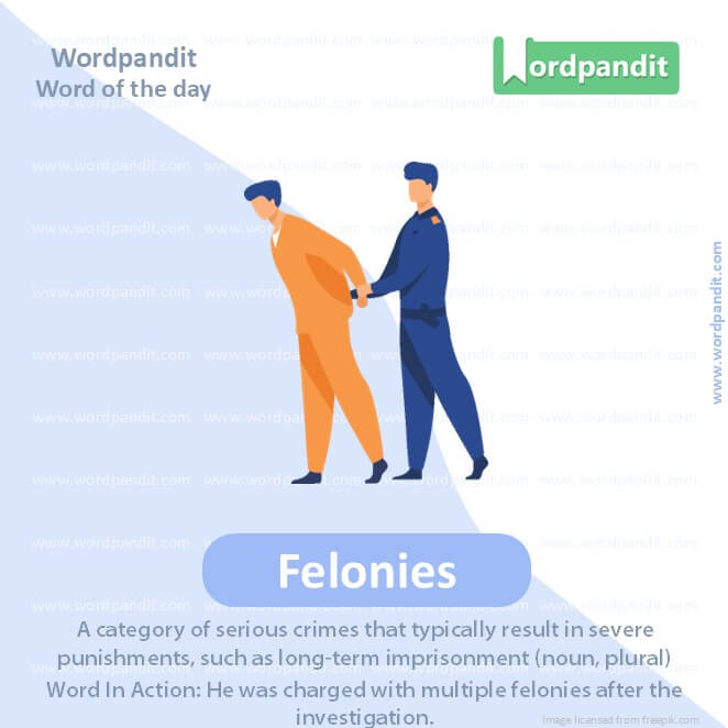 Felonies Picture Vocabulary