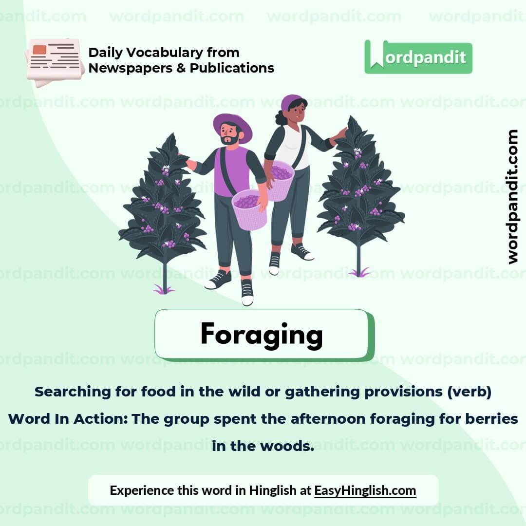 Foraging Picture Vocabulary
